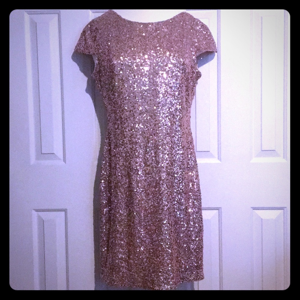 Gorgeous Rose Gold Sequins Dress